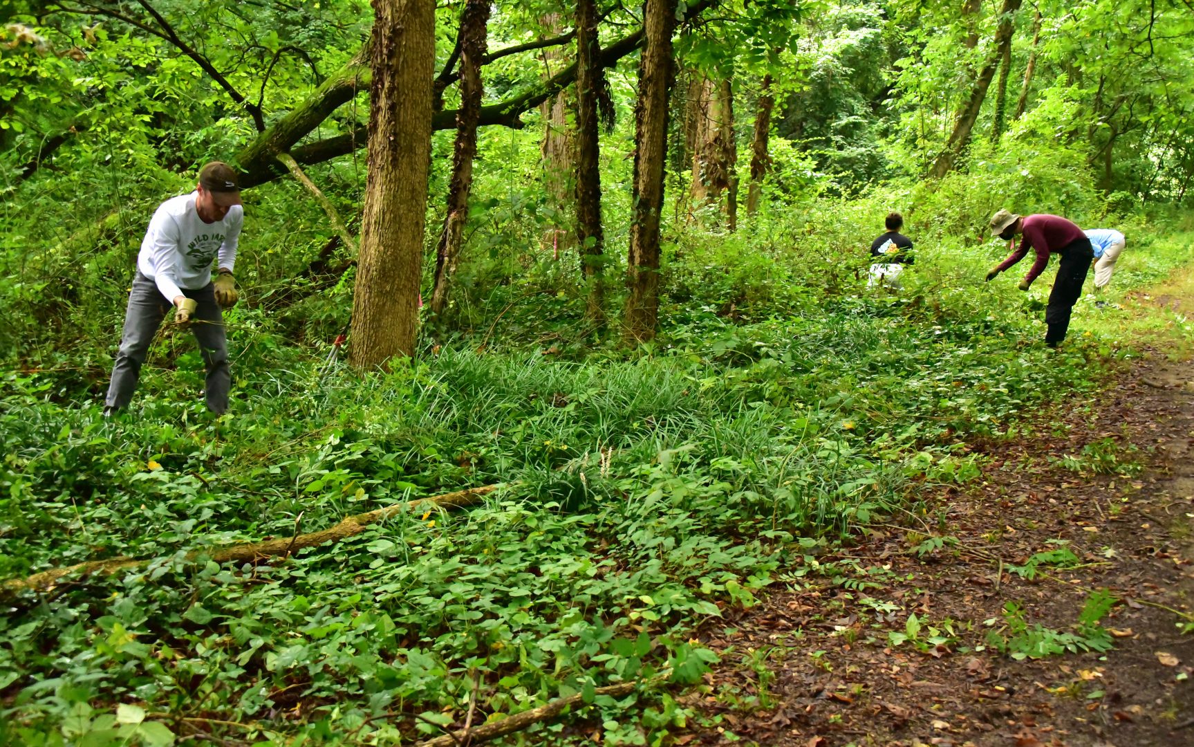 South Ellerbe Creek Greenway Project - Duke Community Affairs